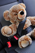 Sicherheit für Teddys