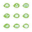 Eco green leaf business icon set