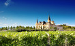 Chateau among the vines Chateau among the vines