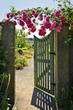 Photo en ligne au meilleur prix Open garden gate with roses