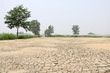 Photo: crack in the ground crack in the ground