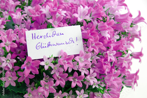 Photo: Herzlichen Glückwunsch! Im Blumenbett Herzlichen Glückwunsch! Im Blumenbett