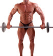 bodybuilder