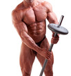 bodybuilder