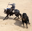 corrida a cheval