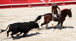 corridan