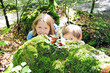 Kinder im Wald