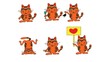 cats