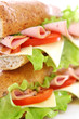 Fresh and tasty sandwich