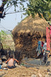 Sunderbans Sunderbans