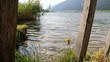 Am See