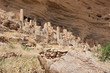 Ancient Dogon village, Mali (Africa).