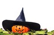 Bruja de Halloween.