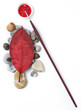 artist's brush and red leaf