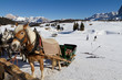 Pferdeschlitten auf der Seisser Alm, Südtirol, Italien
