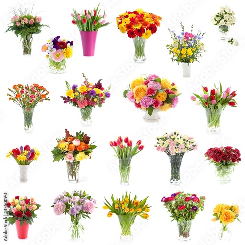 Photo: Flower collection Flower collection