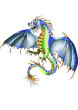 saphirblauer Flugdrache