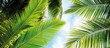 Palme