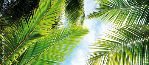 Photo: Palme Palme