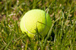 Tennis Ball