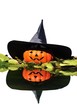 Bruja de halloween aislada.