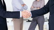 Two executives shaking hands with colleagues