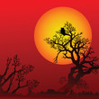 Halloween background with trees, owl and moon Halloween background with trees, owl and moon