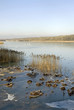 Etang de Saint Hubert, 78 Etang de Saint Hubert, 78