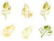 grüne Blätter Herbst