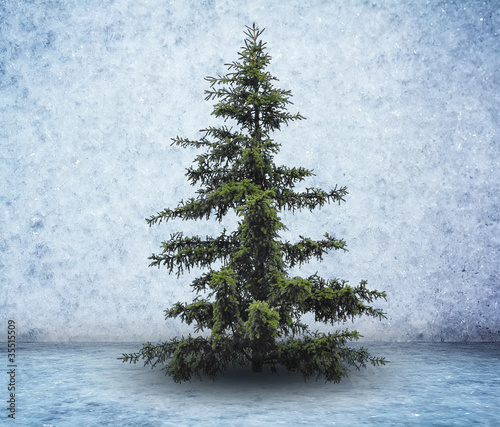 Photo: tree in frozen room tree in frozen room