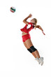 gir playing volleyball gir playing volleyball