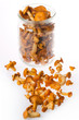 fresh chanterelle mushrooms