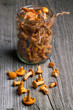 fresh chanterelle mushrooms