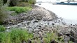Alles im Fluss