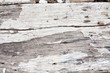 Texture of wood