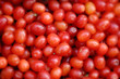 Photo: Cornelian Cherry - European Cornel Cornelian Cherry - European Cornel