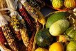 Photo: Corn and Pumpkins Corn and Pumpkins