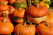 Photo: Pumpkins Pumpkins