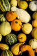 Photo: Assorted Gourds Assorted Gourds