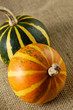 Photo: Two Gourds Still Life Two Gourds Still Life