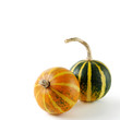 Photo: Two Gourds Still Life Two Gourds Still Life