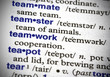 Teamwork Defined