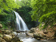 Natural Spring Waterfall