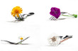 Bunte Blumen an Gabel