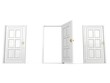 opened white door in row other closed doors opened white door in row other closed doors