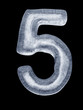 Eis Nummer 5