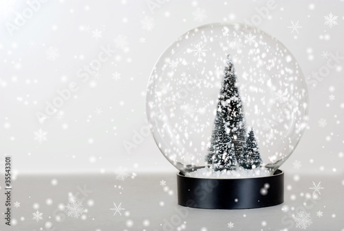 Photo: Christmas tree snow globe Christmas tree snow globe