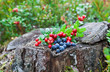 Wild berries
