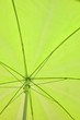 grüner Sonnenschirm