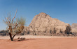 WADI RUM DESERT (II), JORDAN